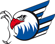 Die Adler Mannheim Eishockey Spielbetriebs GmbH & Co. KG