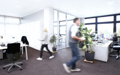 Einkaufssachbearbeitung (m/w/d)